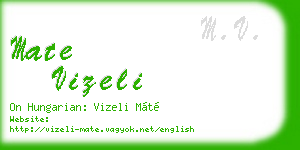mate vizeli business card